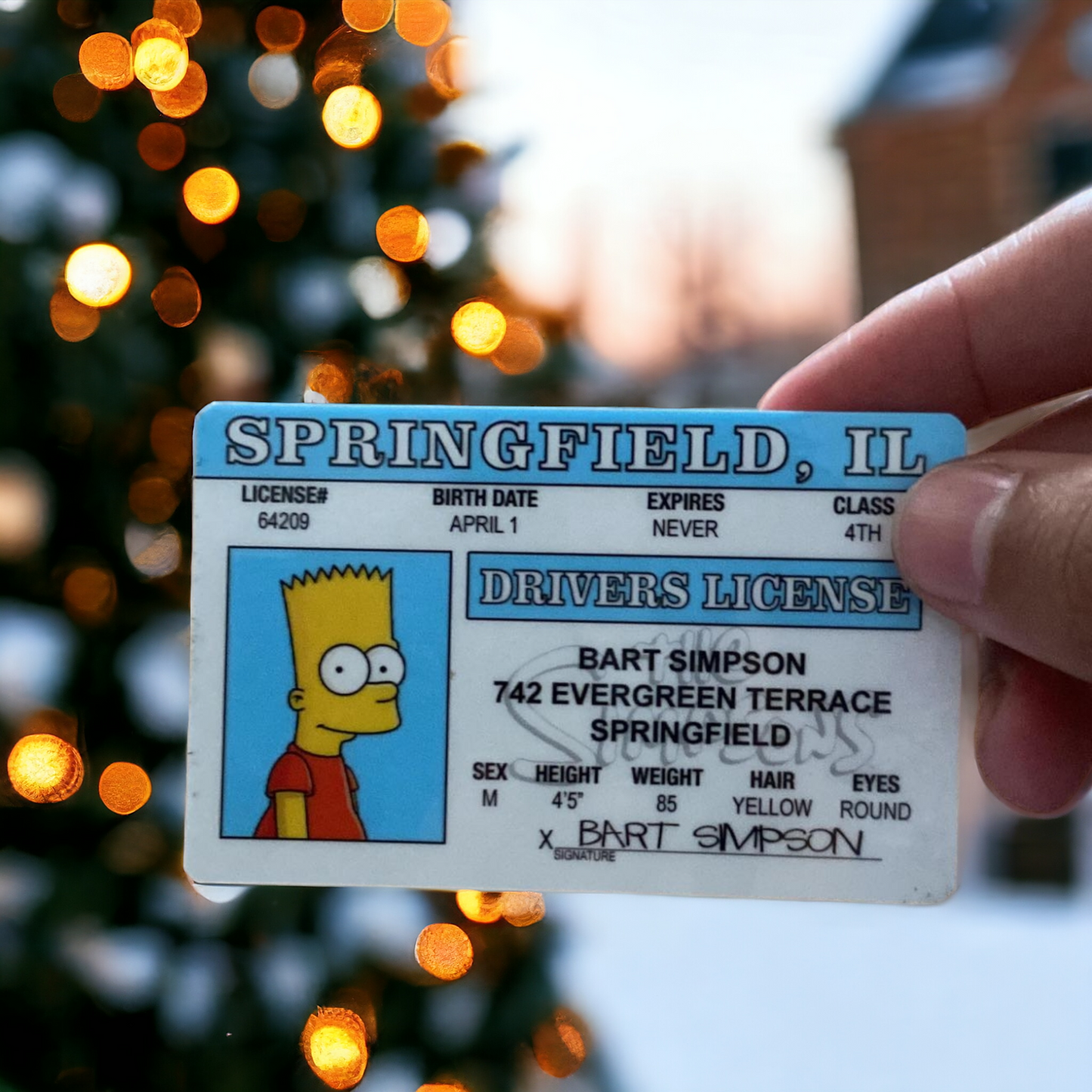 The Simpsons-Bart Simpson ID CARD