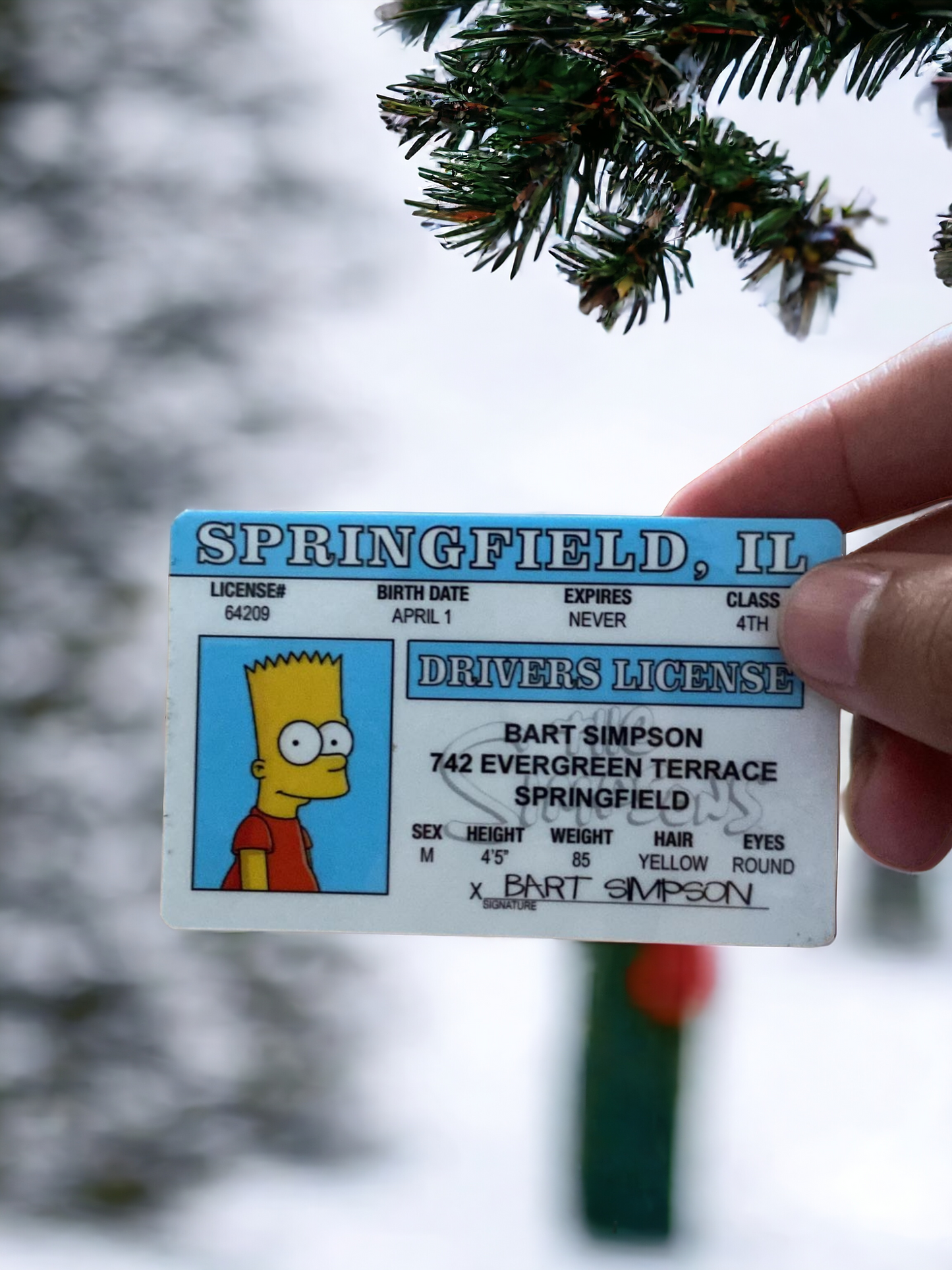 The Simpsons-Bart Simpson ID CARD