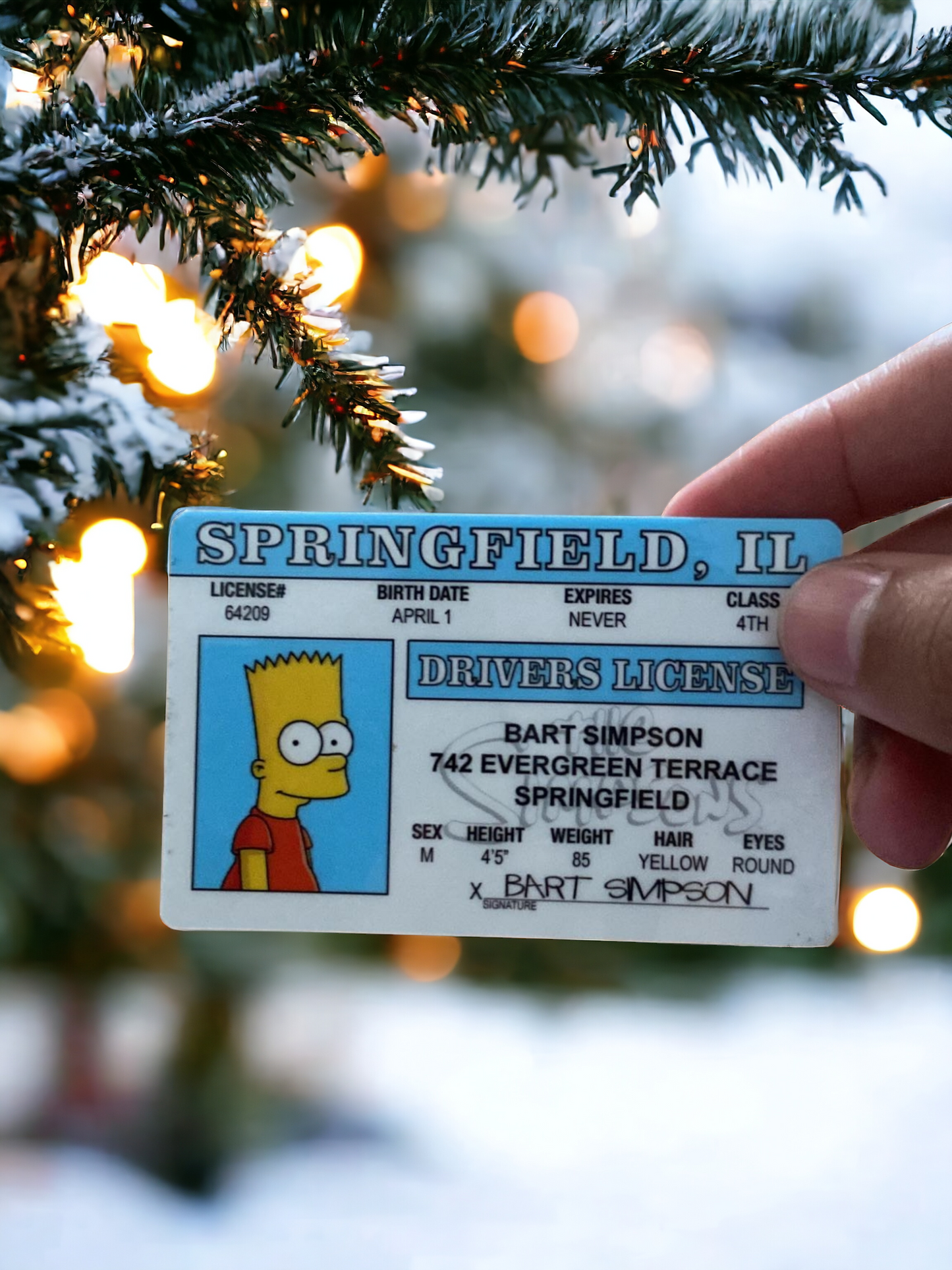 The Simpsons-Bart Simpson ID CARD