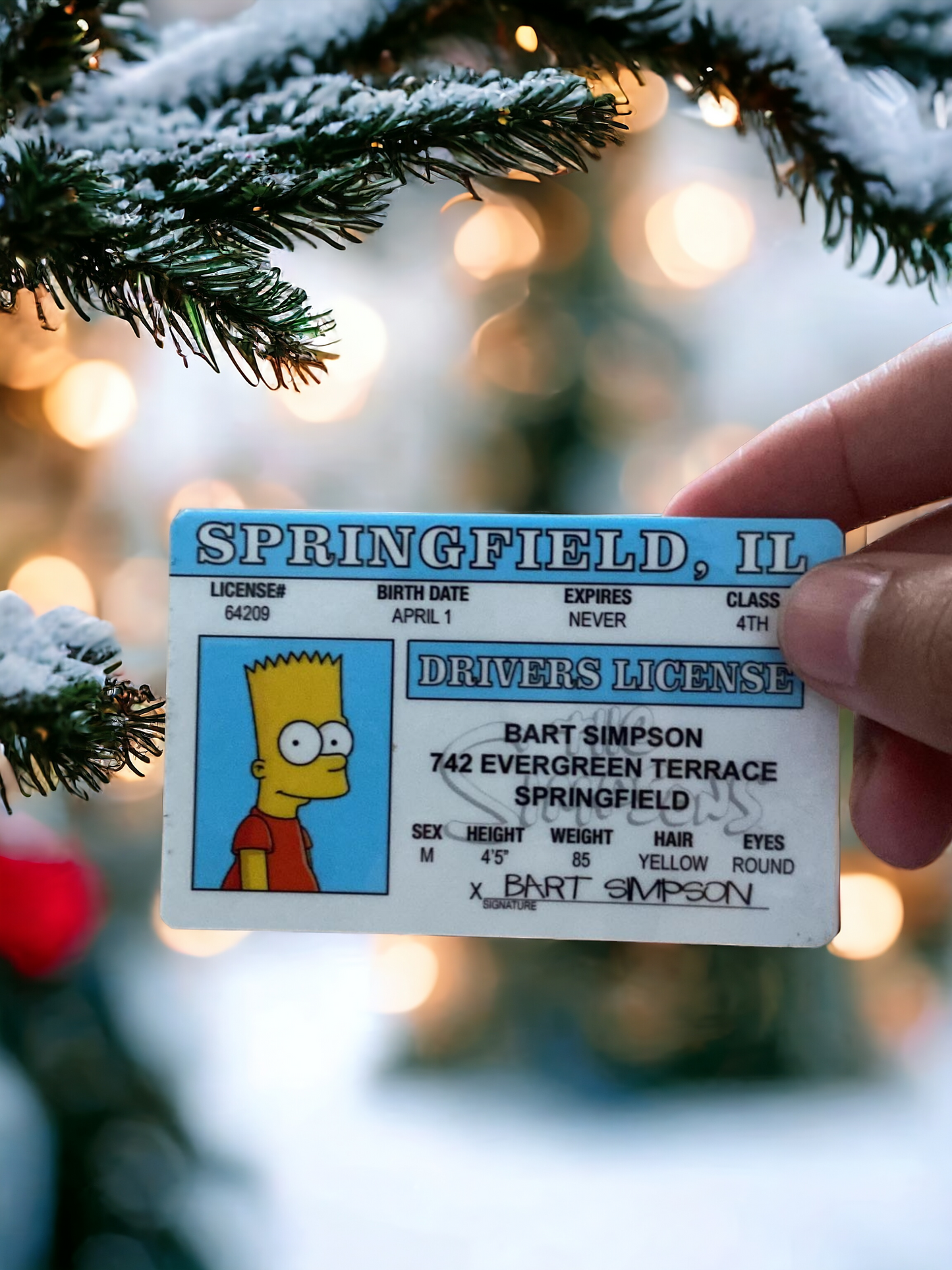 The Simpsons-Bart Simpson ID CARD